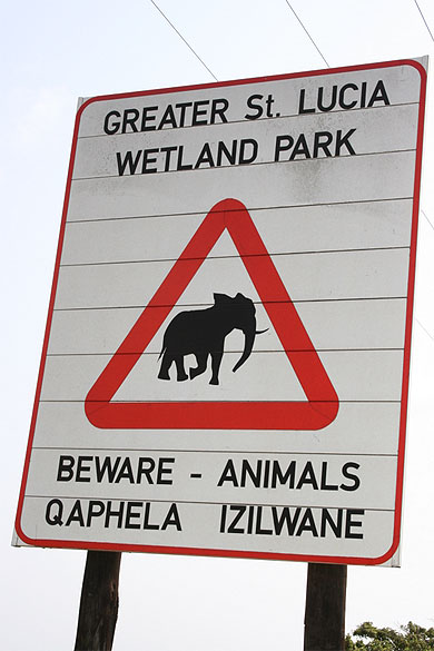 Attention pr�sence d'�l�phants!