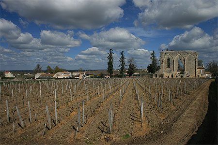 Vignes et ruines
