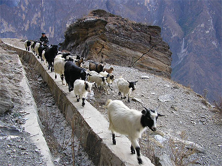 La route du lait