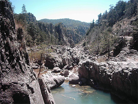 Llegando � la cascada de Basaseachi