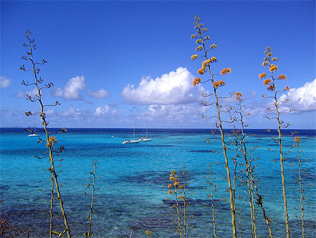 Vue des Tobago Cayes