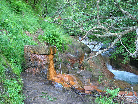 Source d'eau ferrugineuse