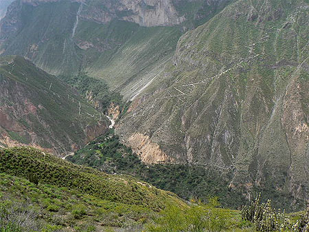 Le Colca dans toute sa majest�