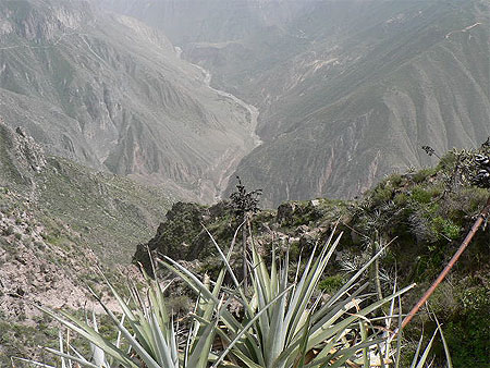 Fabuleux canyon