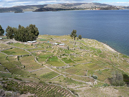 Cultures en terrasses � Amantani