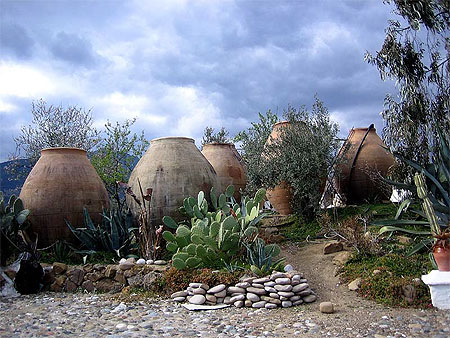 Jarres pour Huile d'Olive 