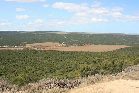 Parc national des �l�phants d'Addo