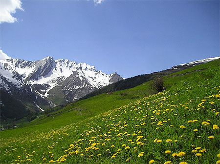 Le printemps