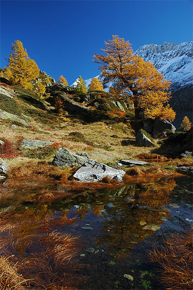 Le L�tschental en automne