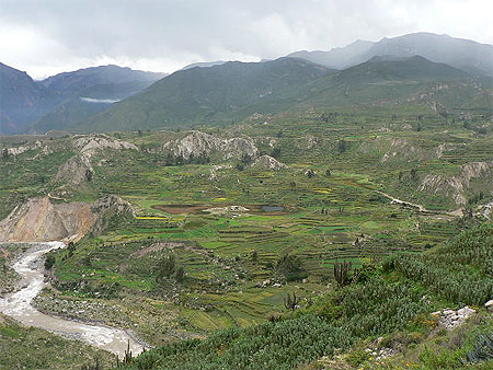 Les Andes � l'�tat pur