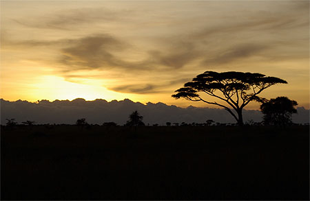 Coucher de soleil sur le Serengeti