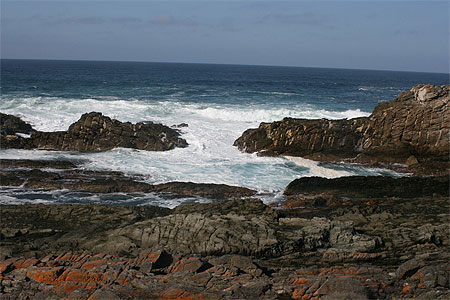 Roche