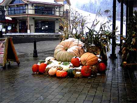 R�union de citrouilles