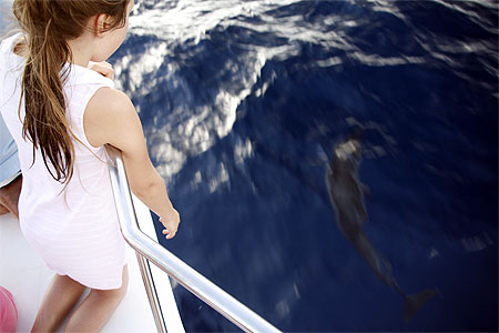 Escorte de dauphins
