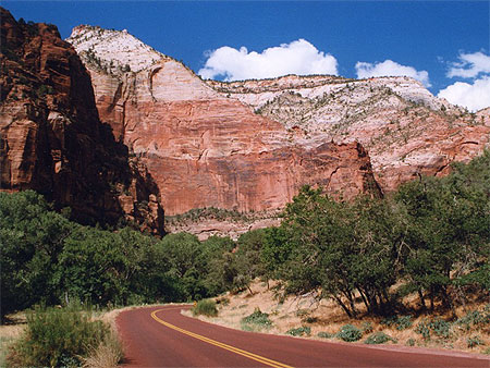 Zion N.P.