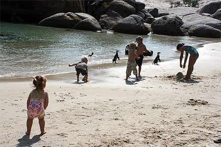 Enfants et manchots