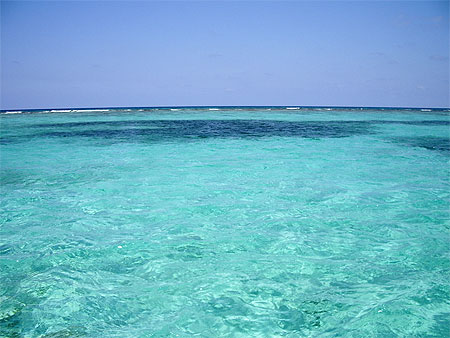 Grande barri�re de corail