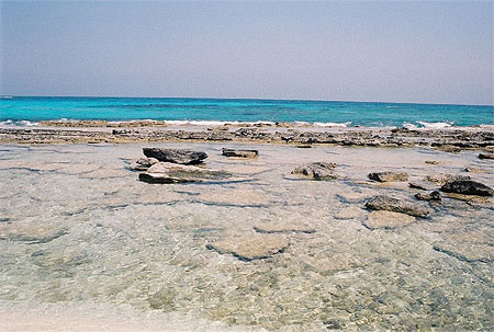 Piscine naturelle