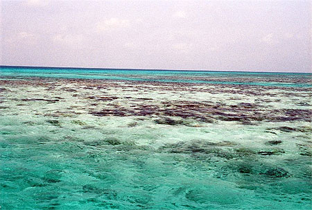 Eaux sublimes