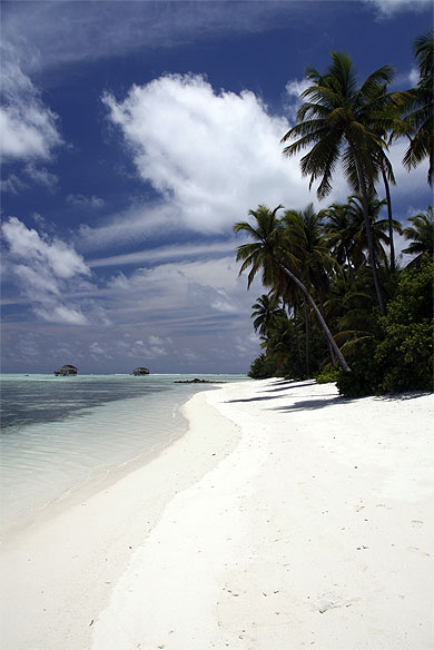 Paradisiaque