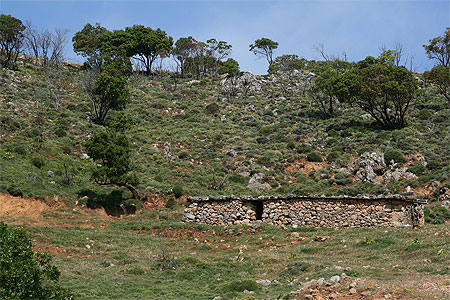 Bergerie 