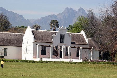 Paysage de Stellenbosch