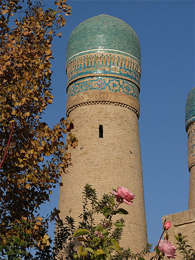 Minarets en fleurs