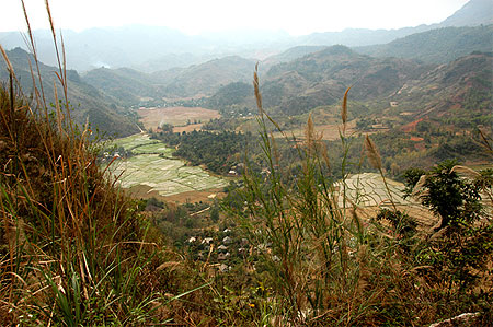Rizi�res et collines
