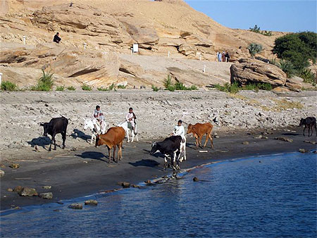 L'Egypte des rives du Nil