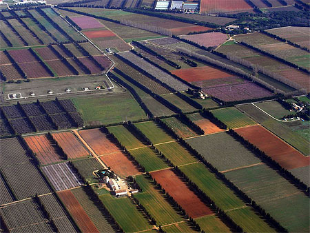 Paysage pr�s de Garons