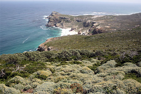 Paysage du cap de Bonne Esp�rance