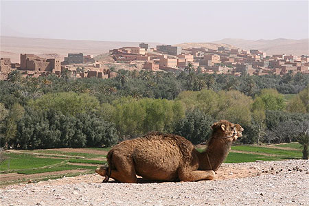 Tineghir