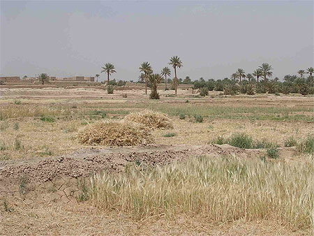 اضغط على الصورة لرؤيتها بالحجم الطبيعي