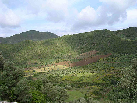 Verdure dans le Rif