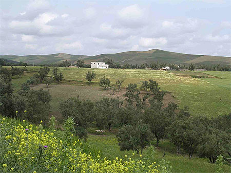 Vaste plaine du Rif