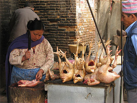 Abattoir n�palais