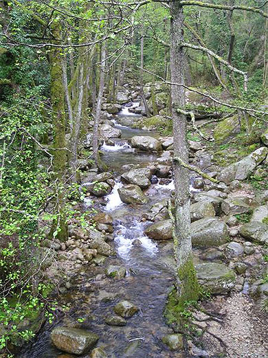 Sur la route du col de bavella