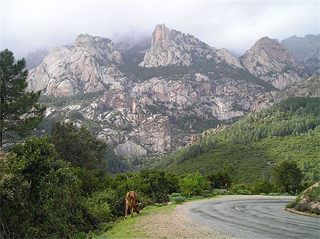 Col de Bavella