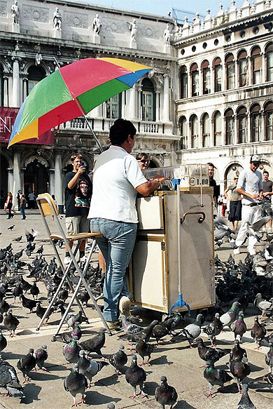 Attrape-pigeons !