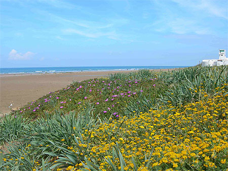 C�te atlantique