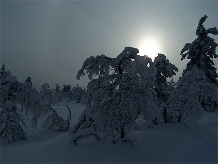 Paysage f��rique