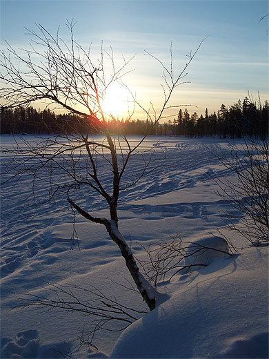 Paysage f��rique