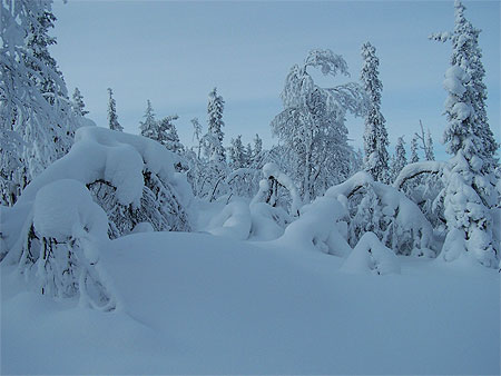 Paysage f��rique