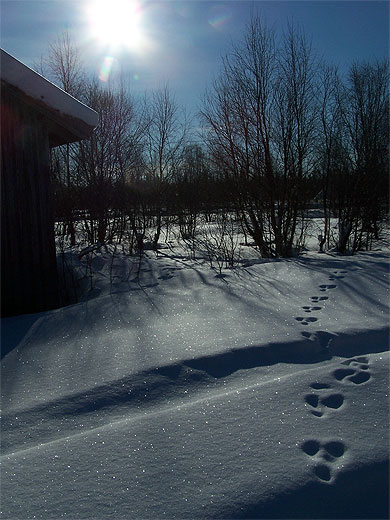 Paysage f��rique