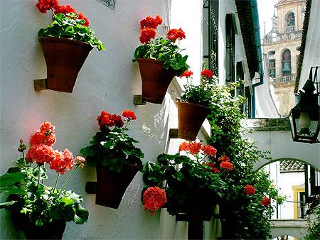 Calleja de las Flores