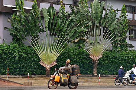 Deux-roues � Porto-Novo