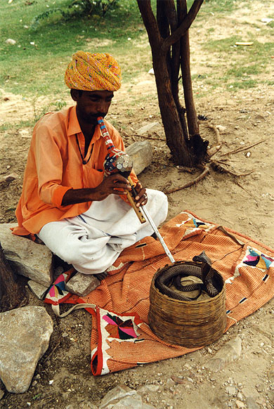 Charmeur de serpent