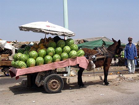 Marchand de Past�que