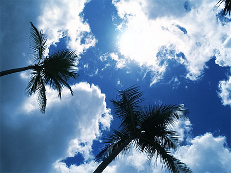 Ciel 