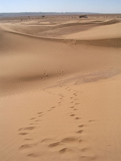 Le d�sert de sable